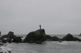 IMG_1940
