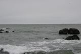 IMG_1926