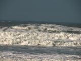 IMG_1371