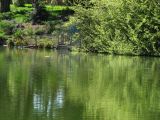 IMG_1769