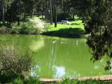 IMG_1771