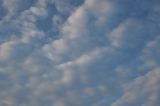 IMG_9796