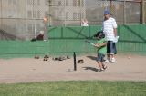 IMG_5081