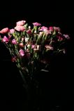 IMG_9125