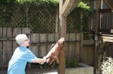 IMG_4719