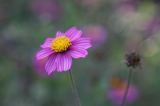 IMG_4848