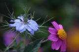 IMG_4851