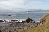 IMG_6361