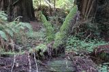 IMG_8889