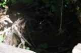 IMG_8902