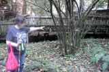 IMG_8909