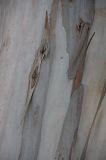 IMG_9470