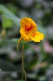 IMG_1119