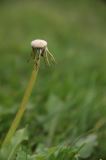 IMG_3143